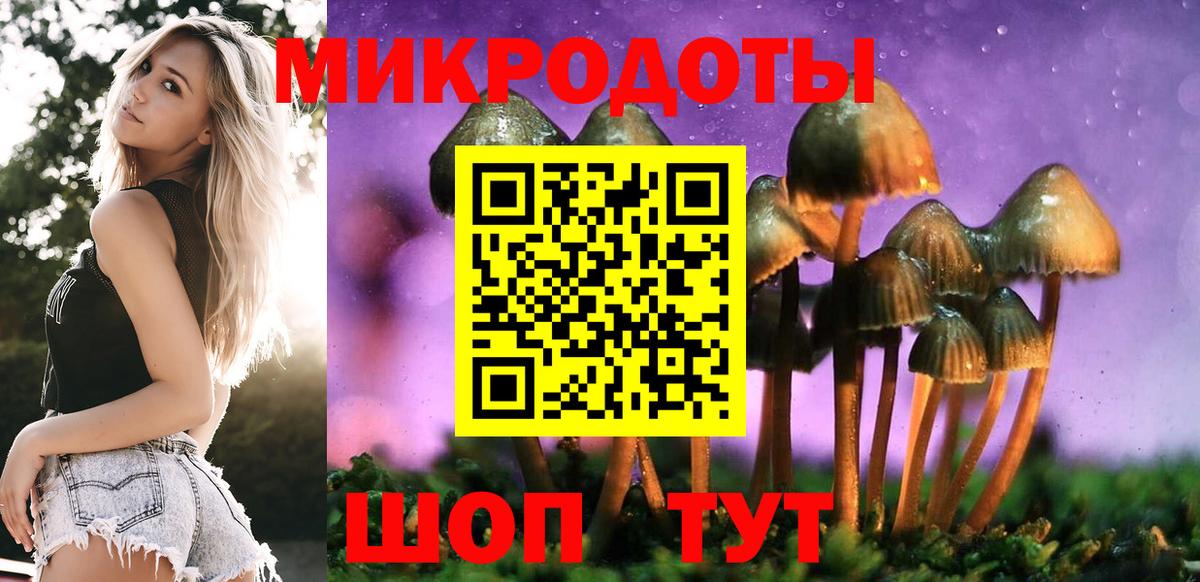 где можно купить наркотик  Галлюциногенные грибы Psilocybine cubensis  Вход с VPN  Киров 
